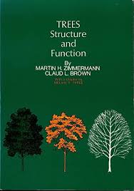 TREES STRUCTURE AND FUNTION