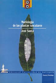 MORFOLOGIA DE LAS PLANTAS VASCULARES