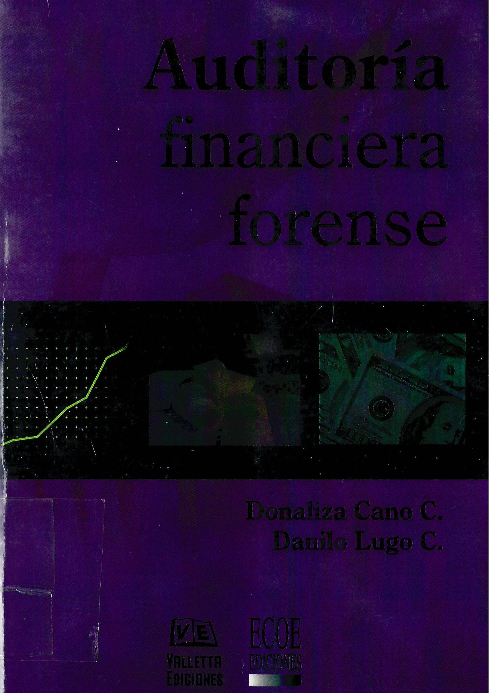 AUDITORIA FINANCIERA FORENSE