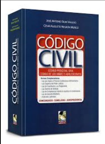 CODIGO CIVIL. CODIGO PROCESAL CIVIL, CODIGO DE LOS NIÑOS Y ADOLESCENTES