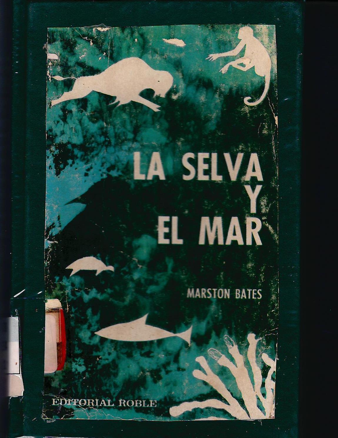 LA SELVA Y EL MAR