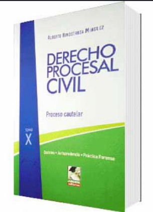 DERECHO PROCESAL CIVIL. PROCESO CAUTELAR  TOMO X