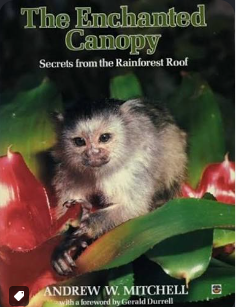 THE ENCHANTED CANOPY  SECRETS FROM THE RAINFOREST ROOF