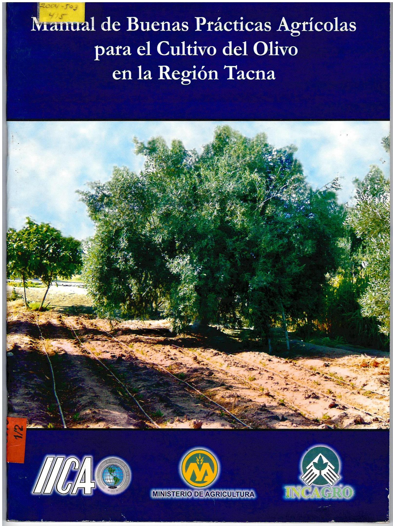 MANUAL DE BUENAS PRACTICAS AGRICOLAS PARA EL CULTIVO DEL OLIVO EN TACNA