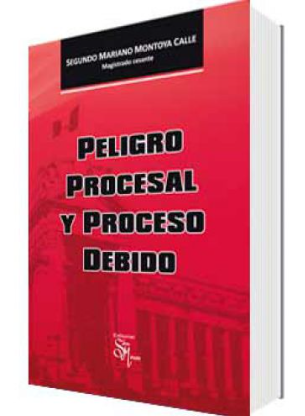 PELIGRO PROCESAL Y PROCESO DEBIDO