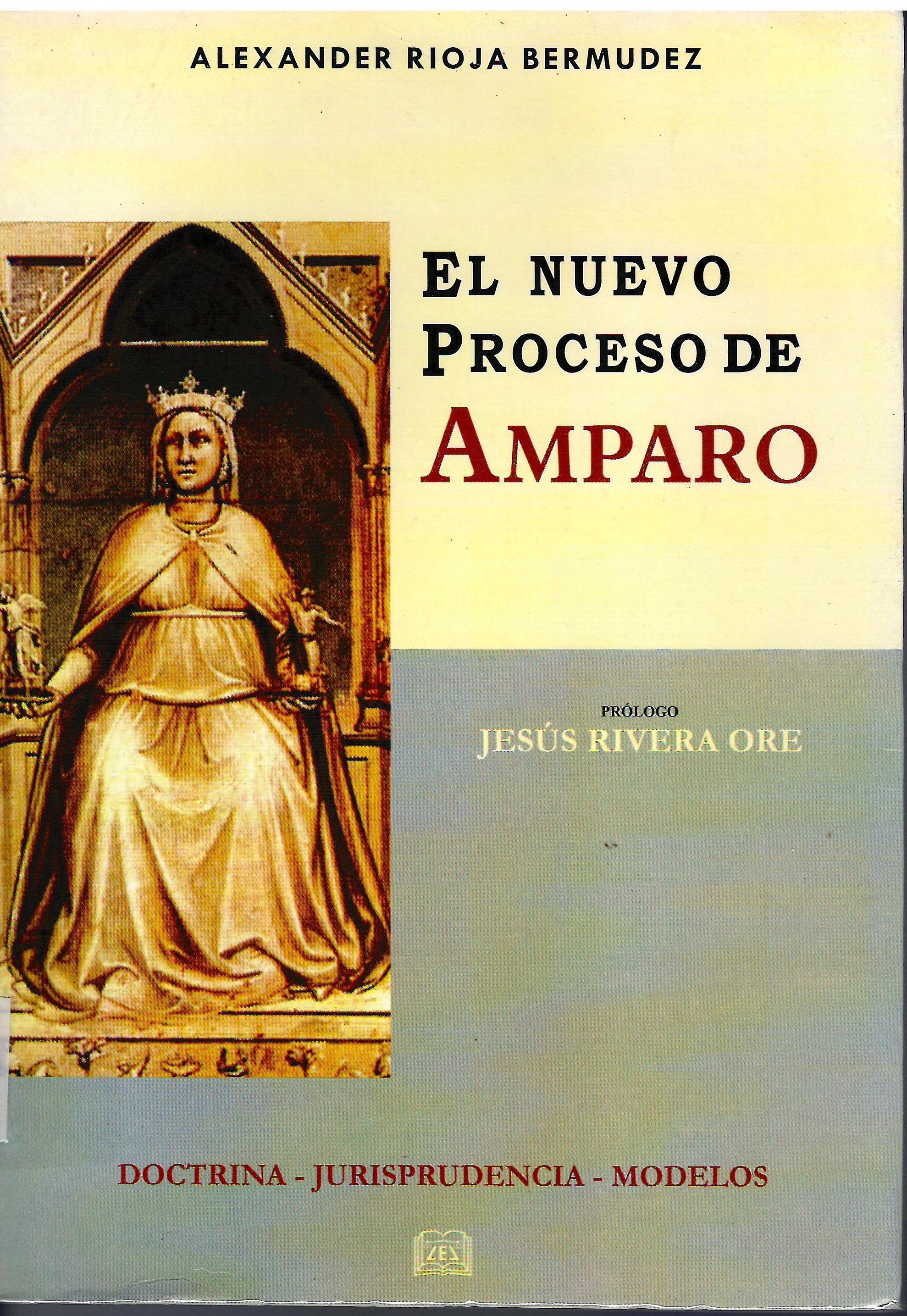 EL NUEVO PROCESO DE AMPARO