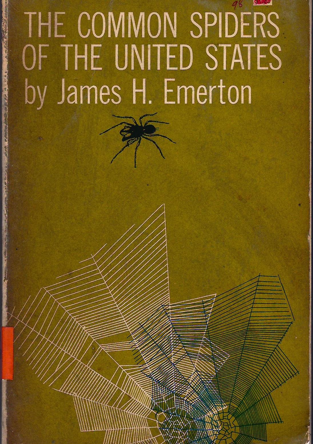 THE COMMON SPIDERS OF THE UNITED STATES