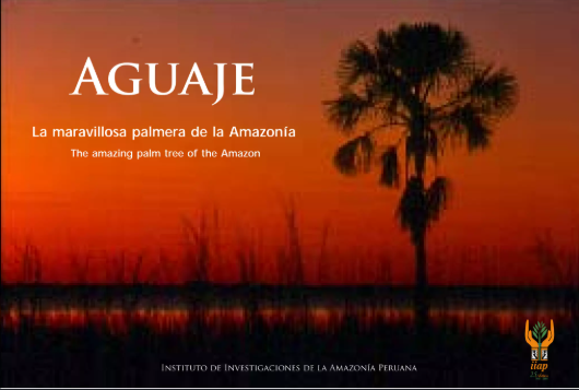 AGUAJE LA MARAVILLOSA PALMERA DE LA AMAZONIA