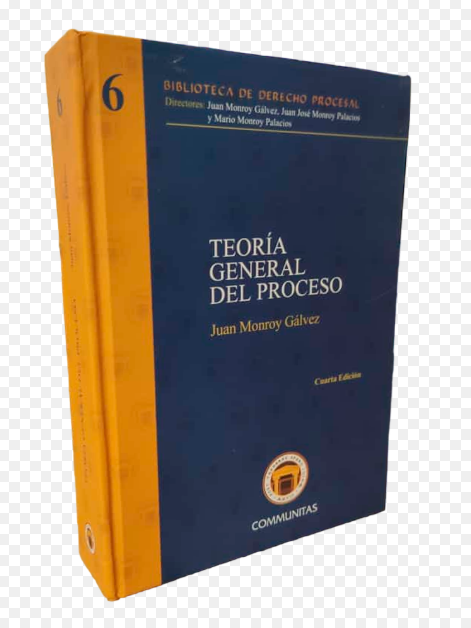 TEORIA GENERAL DEL PROCESO