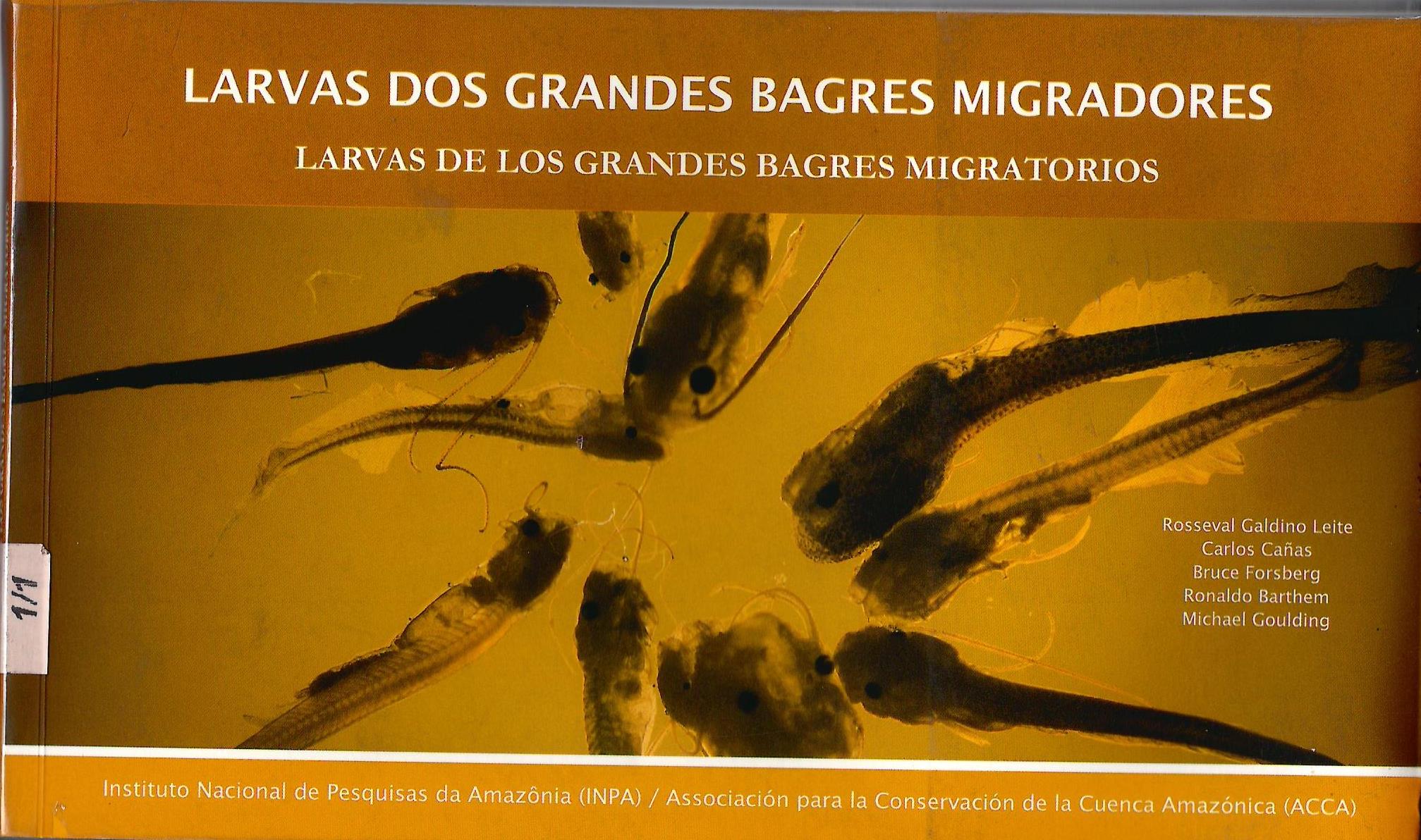 LARVAS DOS GRANDES BAGRES MIGRATORIOS