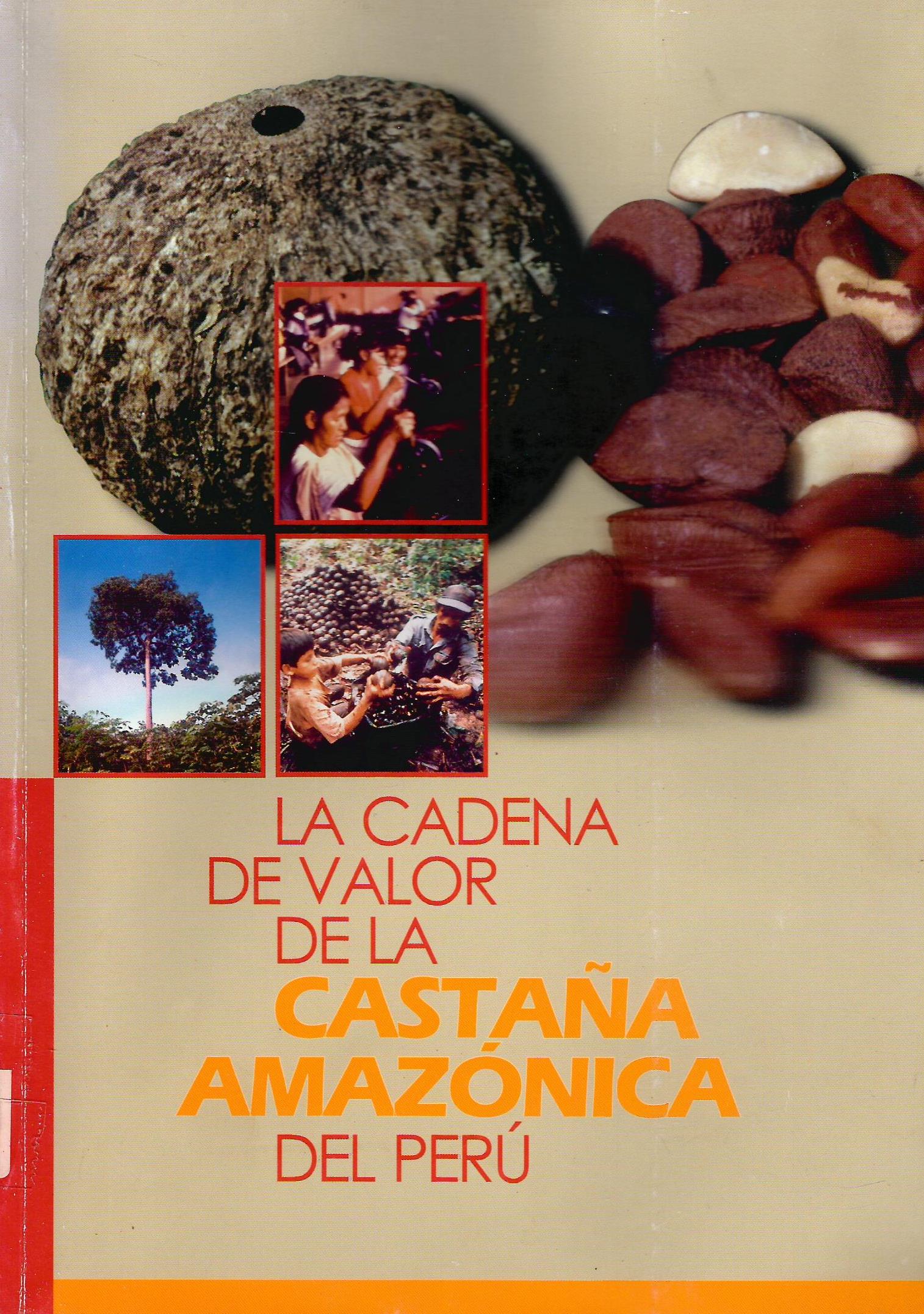 LA CADENA DE VALOR DE LA CASTAÑA AMAZONICA DEL PERU