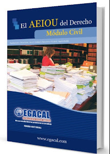 EL AEIOU DEL DERECHO. MODULO CIVIL
