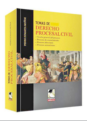 TEMAS DE DERECHO PROCESAL CIVIL