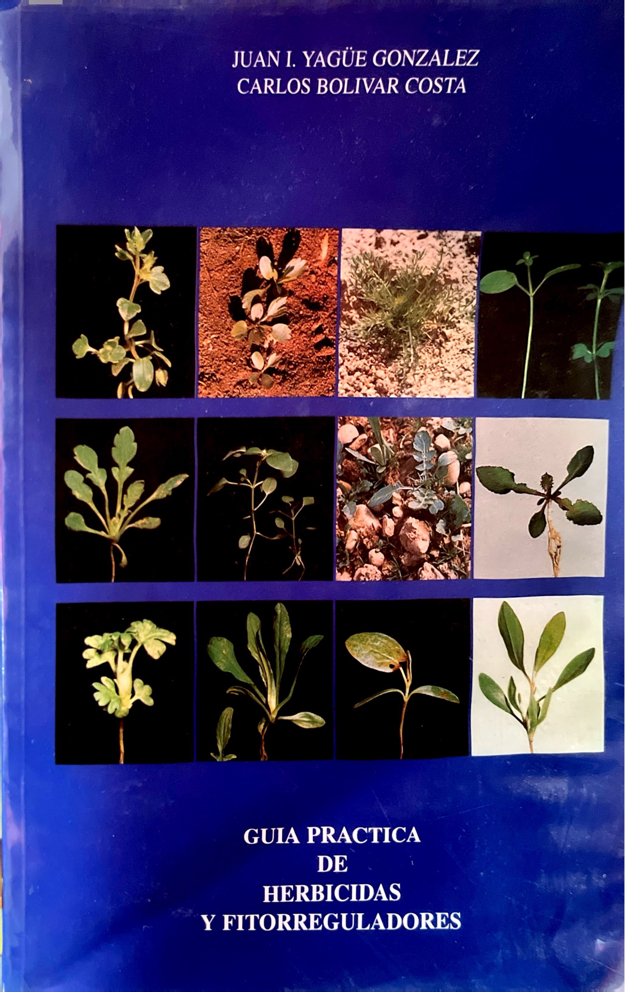 GUIA PRACTICA DE HERBICIDAS Y FITORREGULADORES