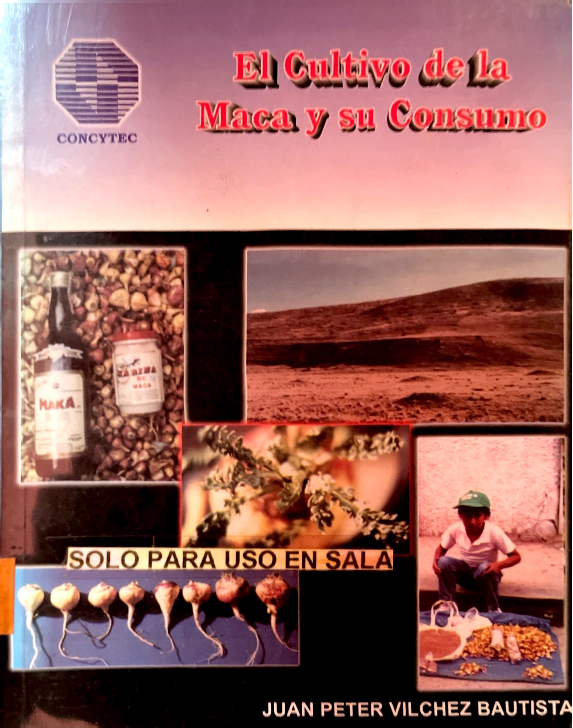 EL CULTIVO DE LA MACA Y SU CONSUMO