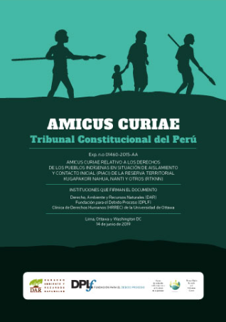 AMICUS CURIAE RELATIVO A LOS DERECHOS DE LOS PUEBLOS INDÍGENAS EN SITUACIÓN DE AISLAMIENTO Y CONTACTO INICIAL (PIACI) DE LA RESERVA TERRITORIAL KUGAPAKORI NAHUA, NANTI Y OTROS (RTKNN)