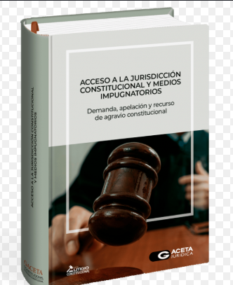 ACCESO A LA JURIDICCION CONSTITUCIONAL Y MEDIOS IMPUGNATORIOS