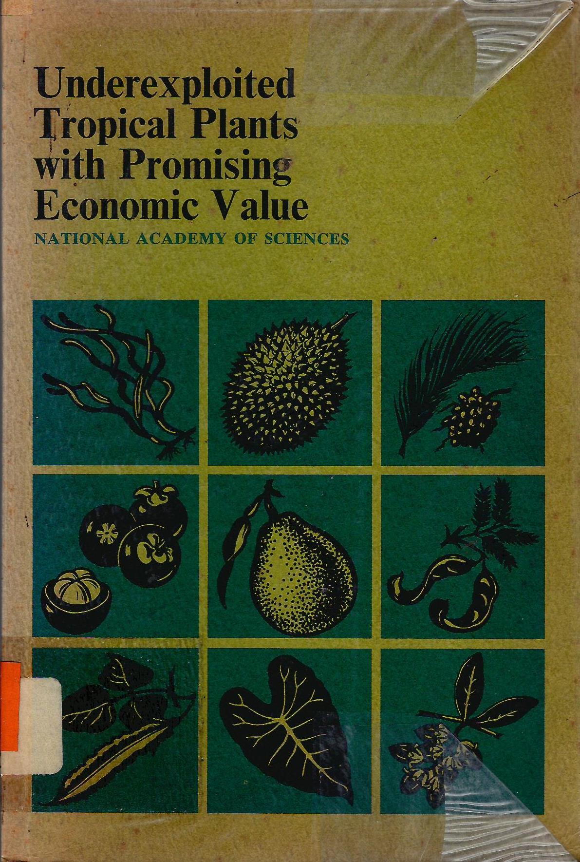 UNDEREXPLOITED TROPICAL PLANTS WITH PROMISING ECONOMIC VALUE