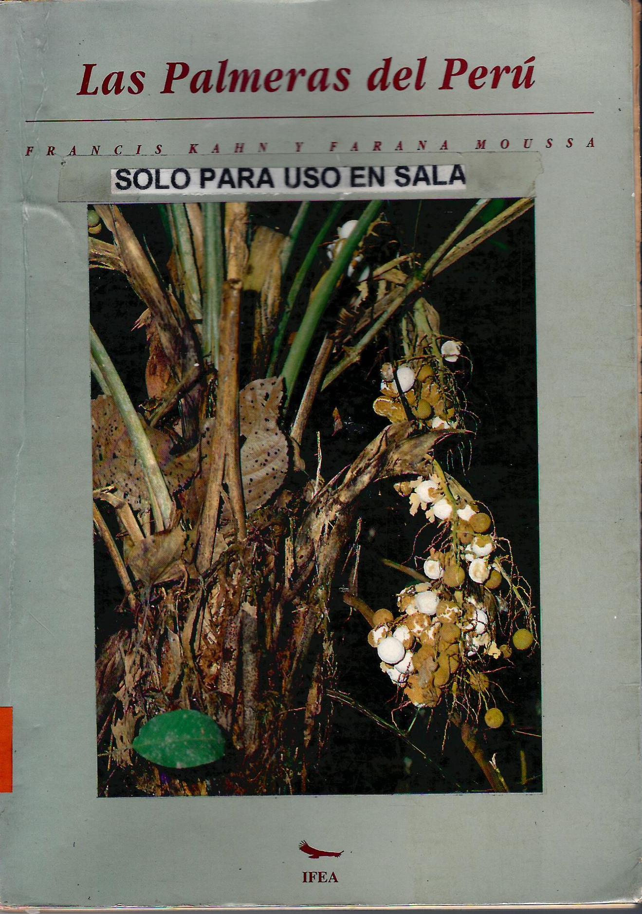 LAS PALMERAS DEL PERU