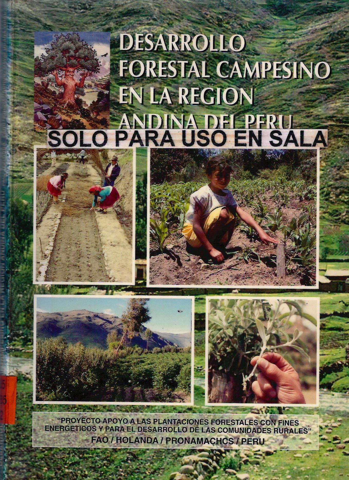DESARROLLO FORESTAL CAMPESINO EN LA REGION ANDINA DEL PERU