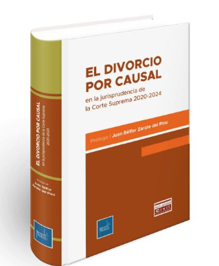 EL DIVORCIO POR CAUSAL EN LA JURISPRUDENCIA DE LA CORTE SUPREMA 2020-2024.