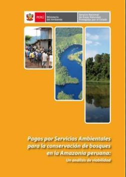 PAGOS POR SERVICIOS AMBIENTALES PARA LA CONSERVACION DE BOSQUES EN LA AMAZONIA PERUANA: UN ANALISIS DE VIABILIDAD