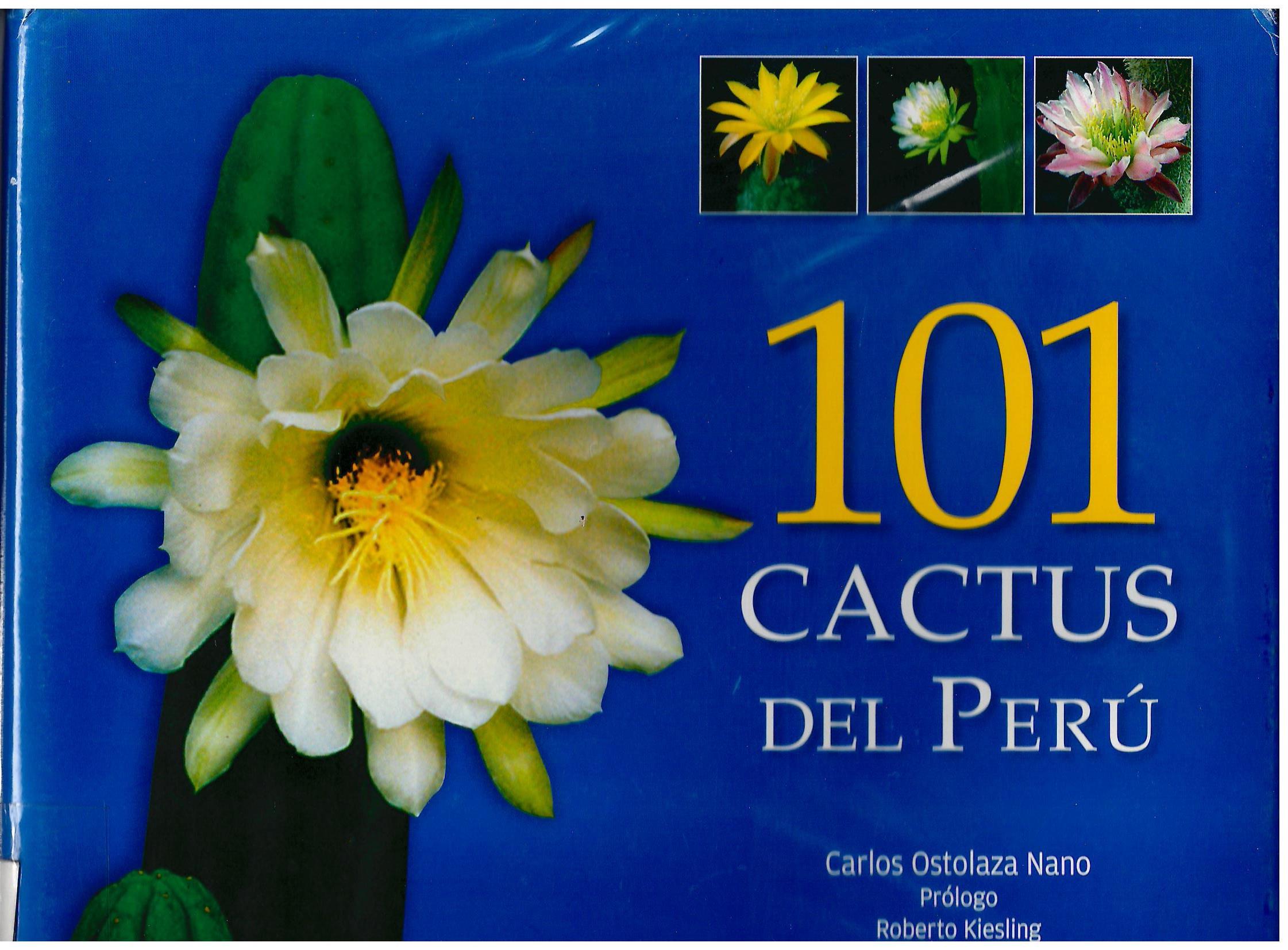 101 CACTUS DEL PERU
