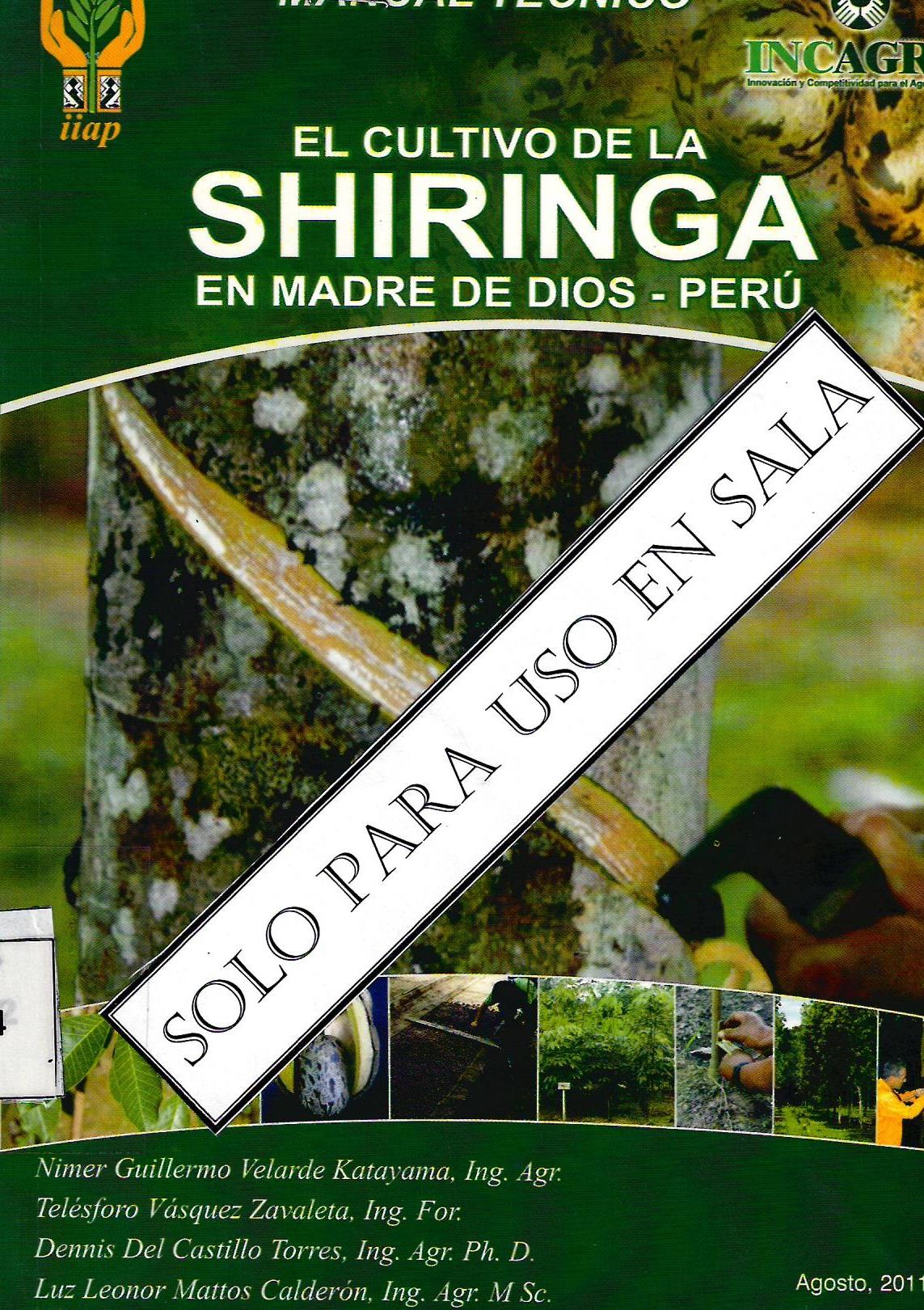 EL CULTIVO DE LA SHIRINGA EN MADRE DE DIOS