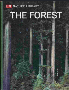 LIFE NATURE LIBRARY THE FOREST