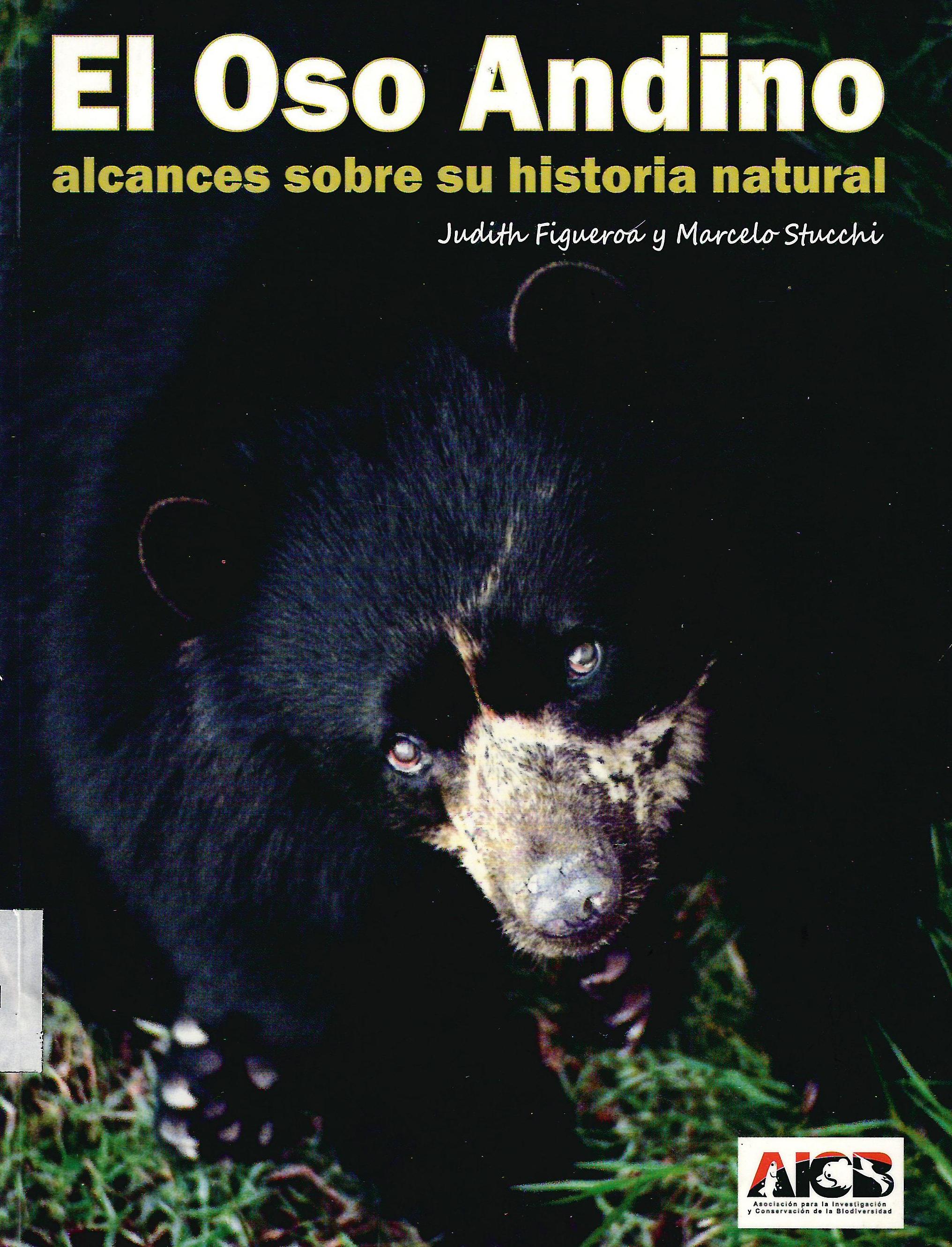 EL OSO ANDINO