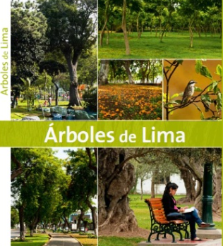ARBOLES DE LIMA