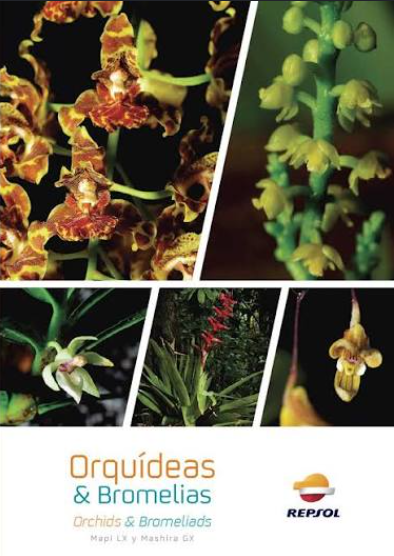 ORQUIDEAS Y BROMELIAS