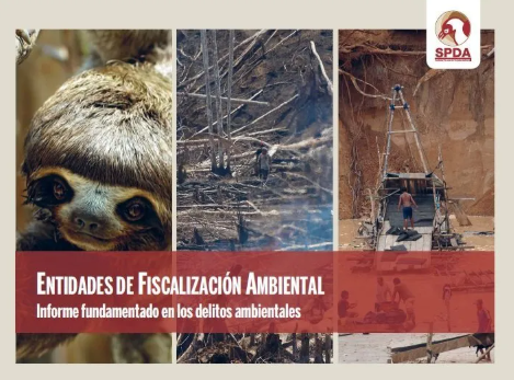 ENTIDADES DE FISCALIZACIÓN AMBIENTAL INFORME FUNDAMENTADO EN LOS DELITOS AMBIENTALES