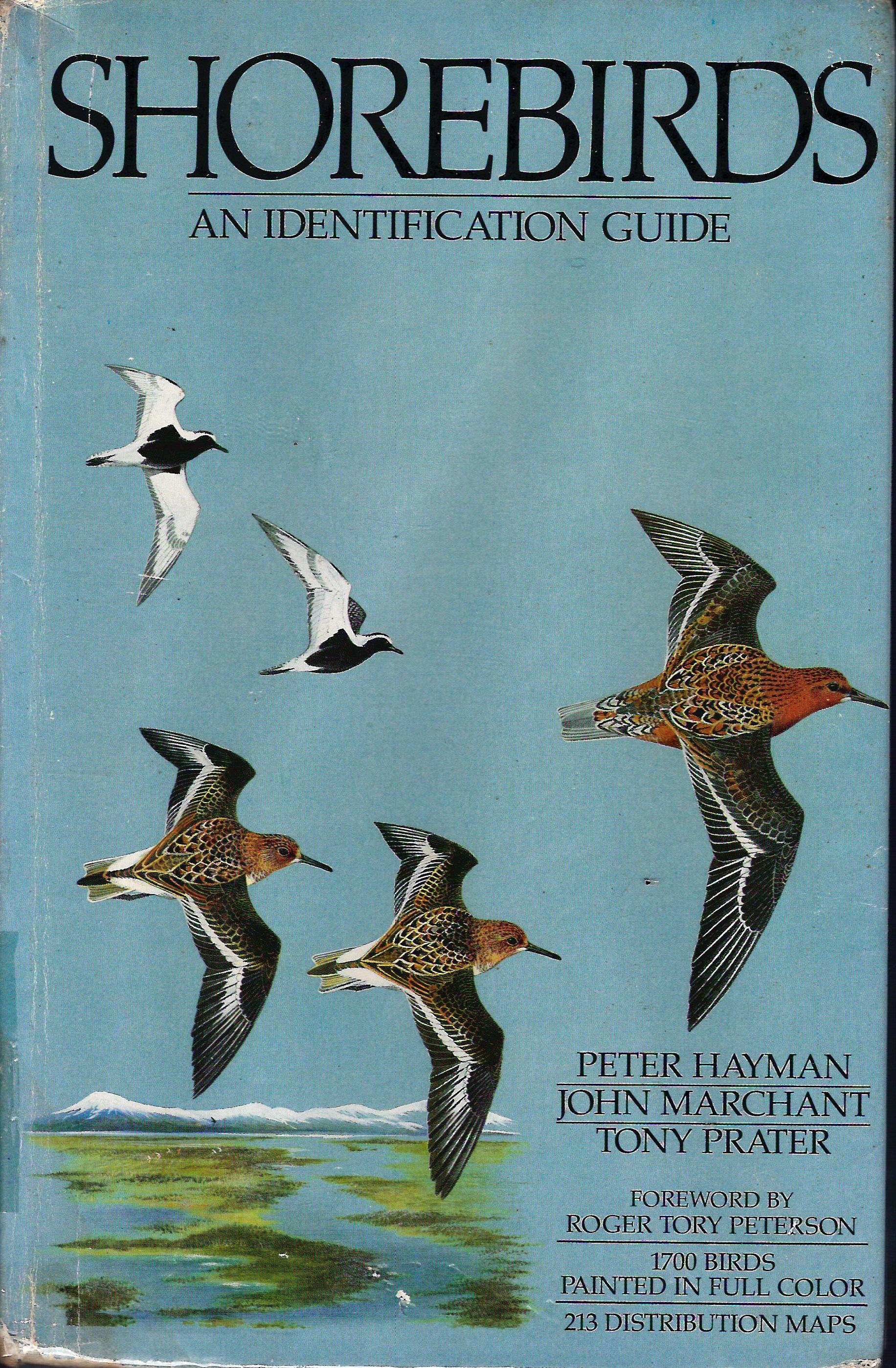 AVES LIMICOLES UNA GUIA DE IDENTIFICACION