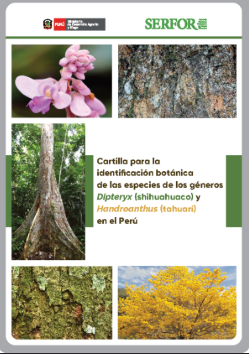 CARTILLAPARA LA IDENTIFICACIÓN BOTÁNICA DE LAS ESPECIES DE LOS GÉNEROS. DIPTERYX Y HANDROANTHUS EN EL PERÚ
