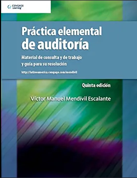 PRACTICA ELEMENTAL DE AUDITORIA