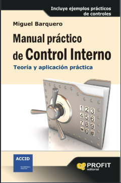 MANUAL PRACTICO DE CONTROL INTERNO. TEORIA Y APLICAC. PRACTICA
