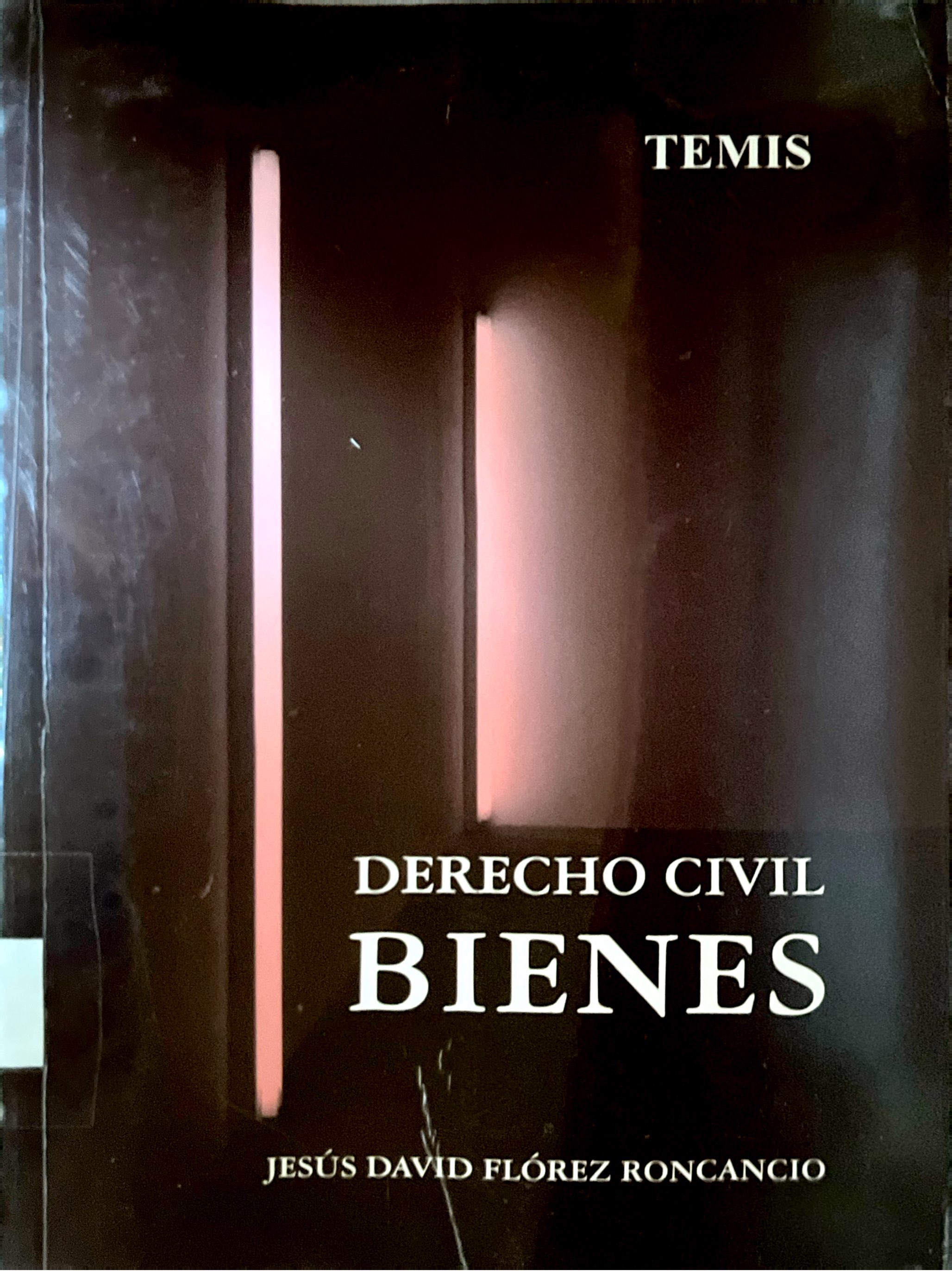 DERECHO CIVIL: BIENES
