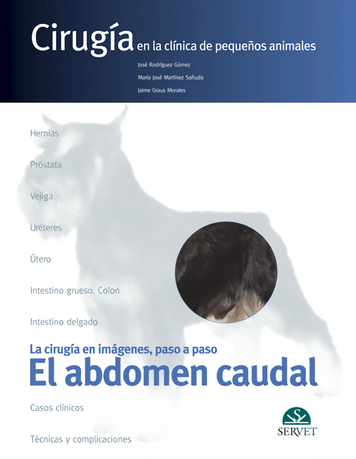 LA CIRUGIA EN IMAGENES, PASO A PASO. EL ABDOMEN CAUDAL