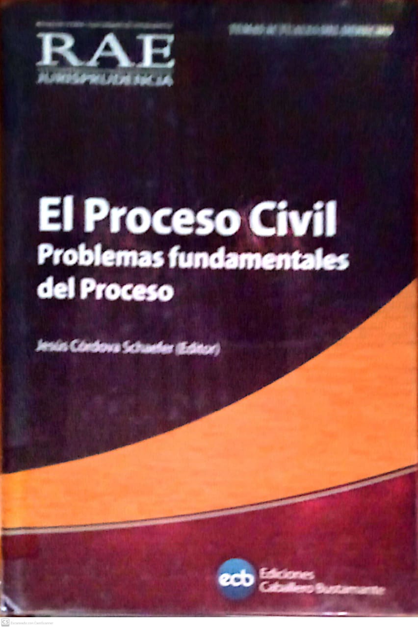 EL PROCESO CIVIL   PROBLEMAS FUNDAMENTALES DEL PROCESO