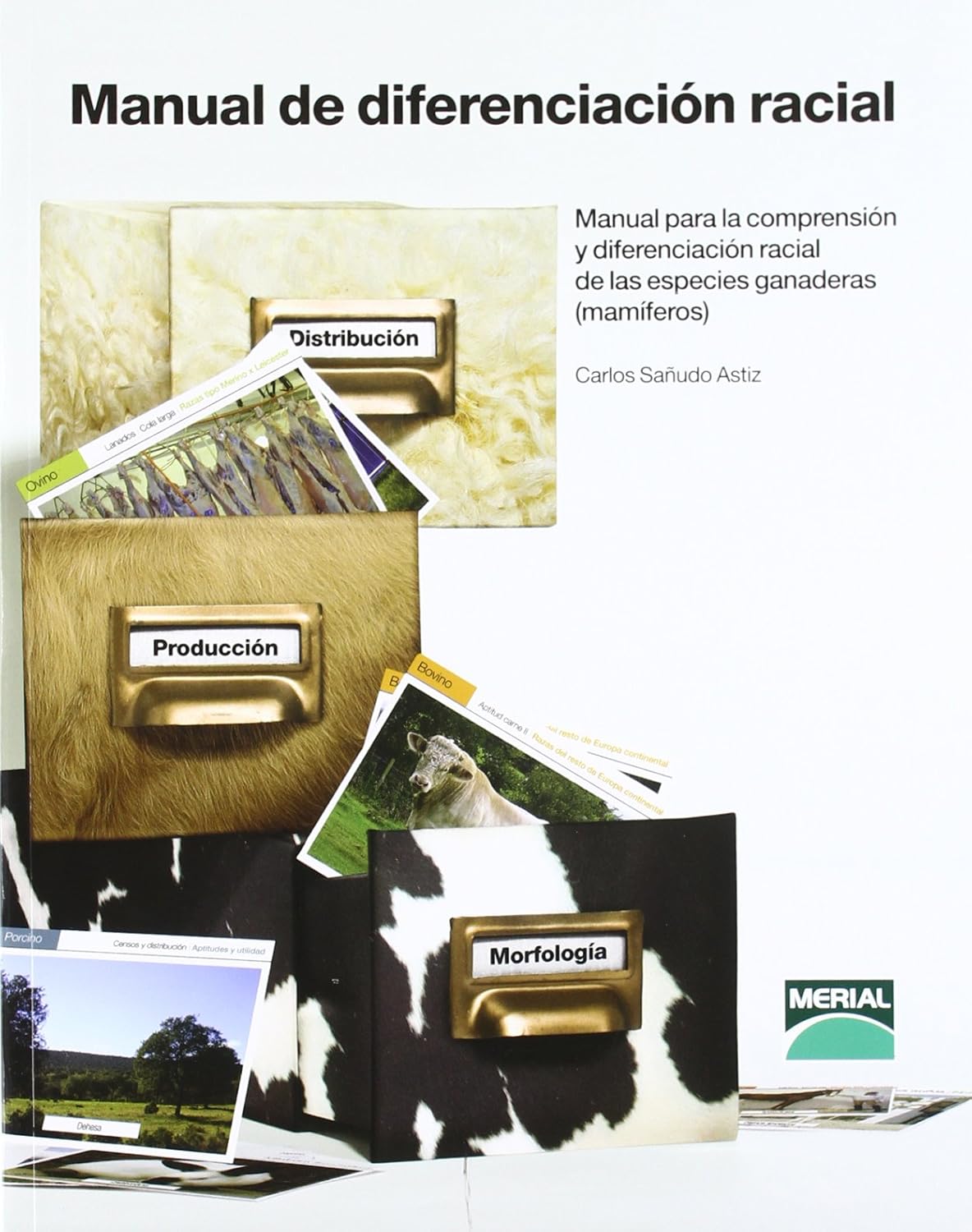 MANUAL DE DIFERENCIACION RACIAL
