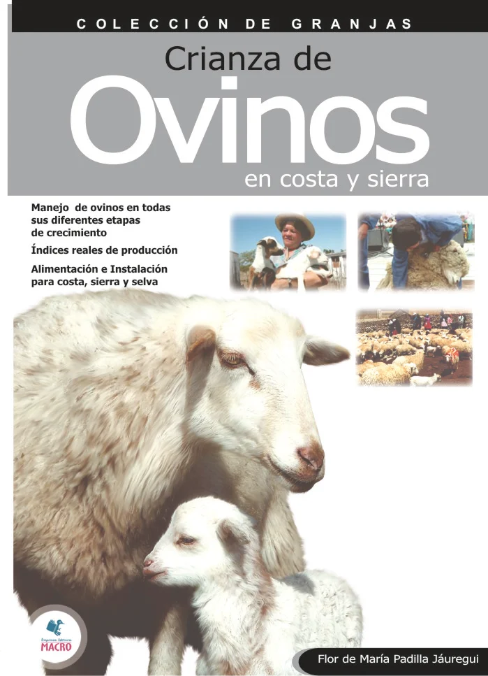CRIANZA DE OVINOS