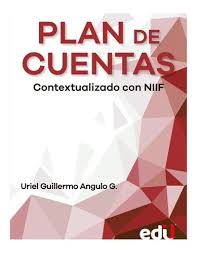 PLAN DE CUENTAS CONTEXTUALIZADO CON NIIF