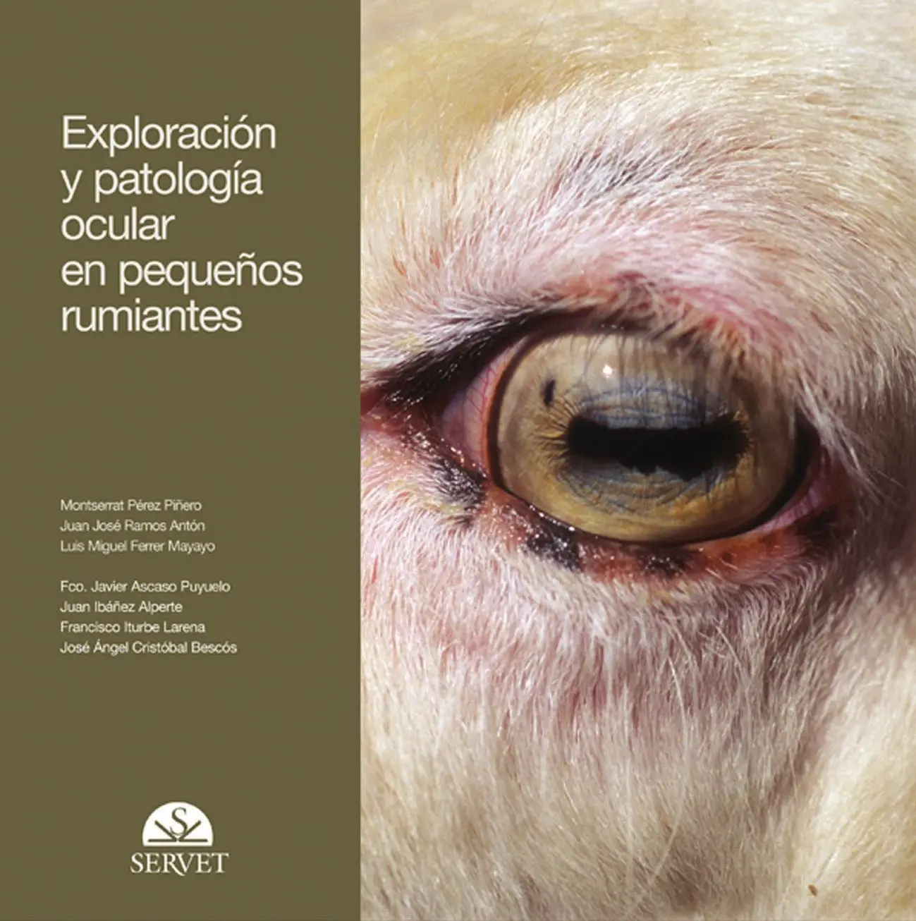 EXPORTACION Y PATOLOGIA OCULAR EN PEQUEÑOS RUMIANTES