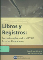 LIBROS Y REGISTROS: FORMATOS ADECUADOS AL PVGE, ESTADOS FINANCIEROS