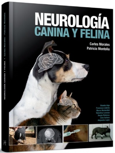NEUROLOGIA CANINA Y FENINA
