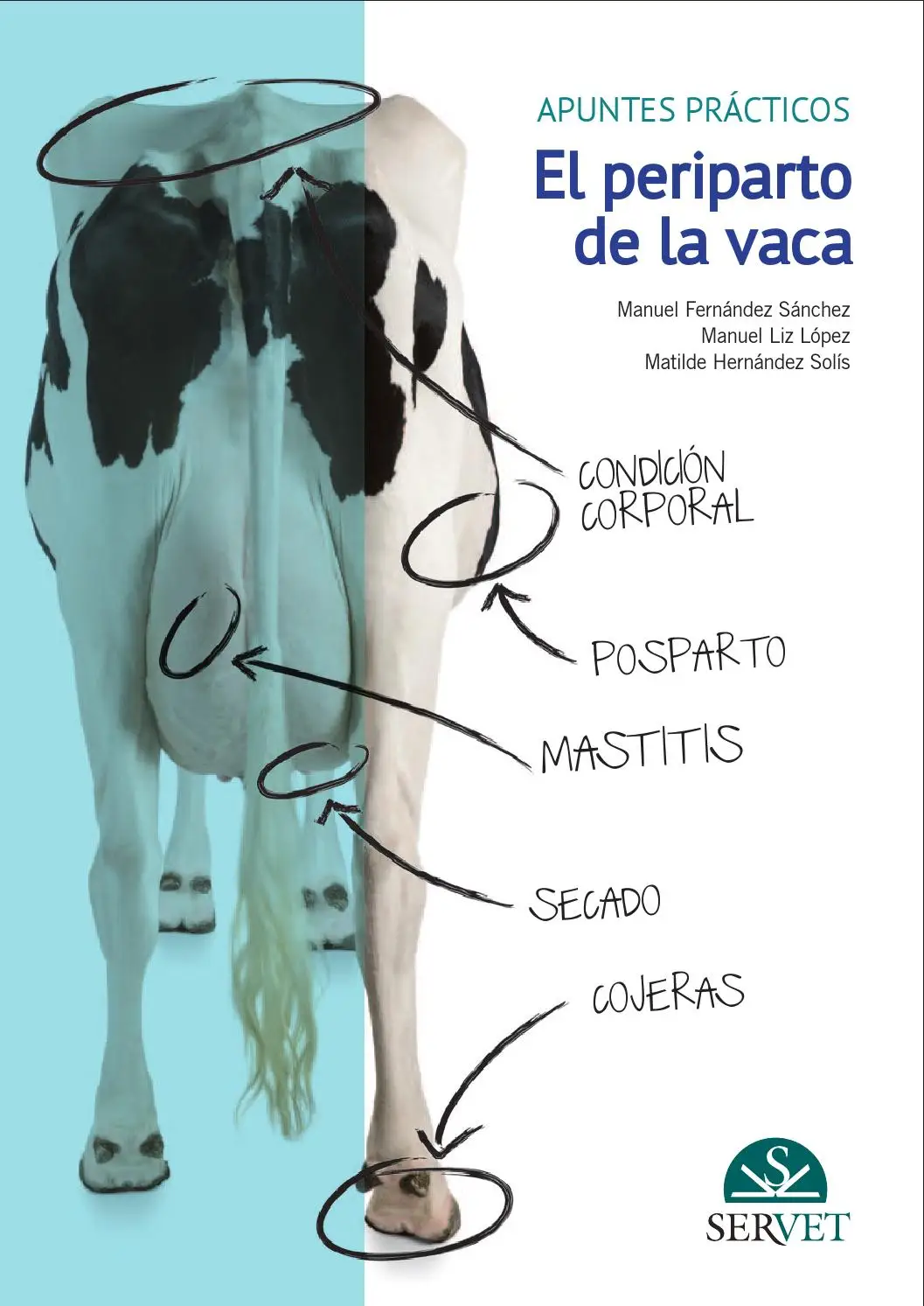 APUNTES PRACTICOS: EL PERIPARTO DE LA VACA
