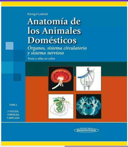 ANATOMIA DE LOS ANMALES DOMESTICOS. TOMO II