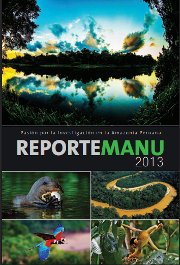 REPORTE MANU 2013