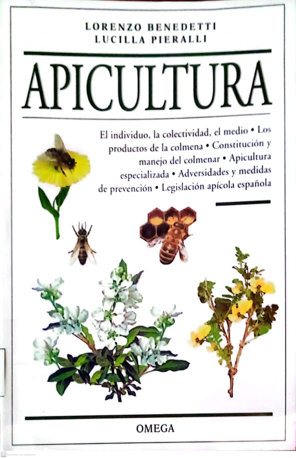 APICULTURA